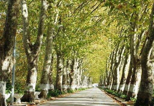 Pensao Lourenco كوريا المظهر الخارجي الصورة